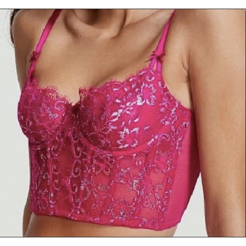 Victorias Secret Dream Angels Pink Silver Metallic Floral Lace Corset Top Small